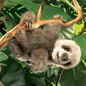 Baby sloth hand puppet from Folkmanis hanging upside down from a branch