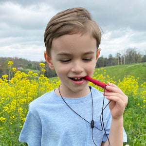 Boy chewing an Ark bite saber chew necklace red on yellow flowers field background
