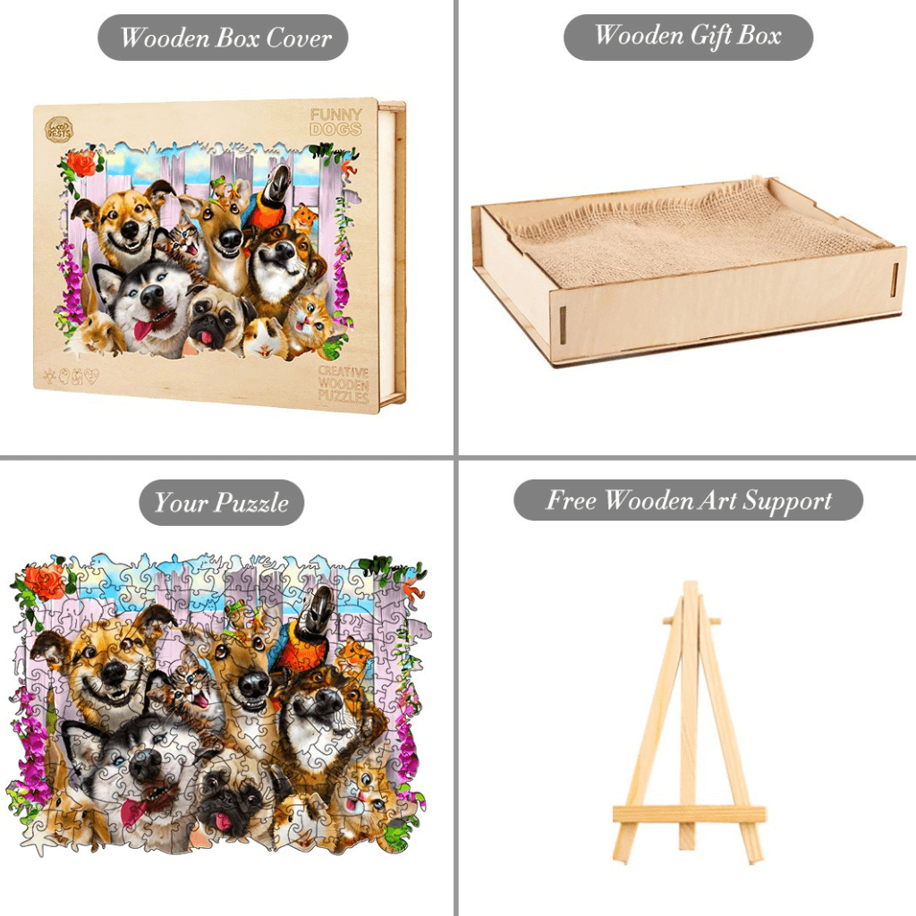 Cats puzzle box contents on white background