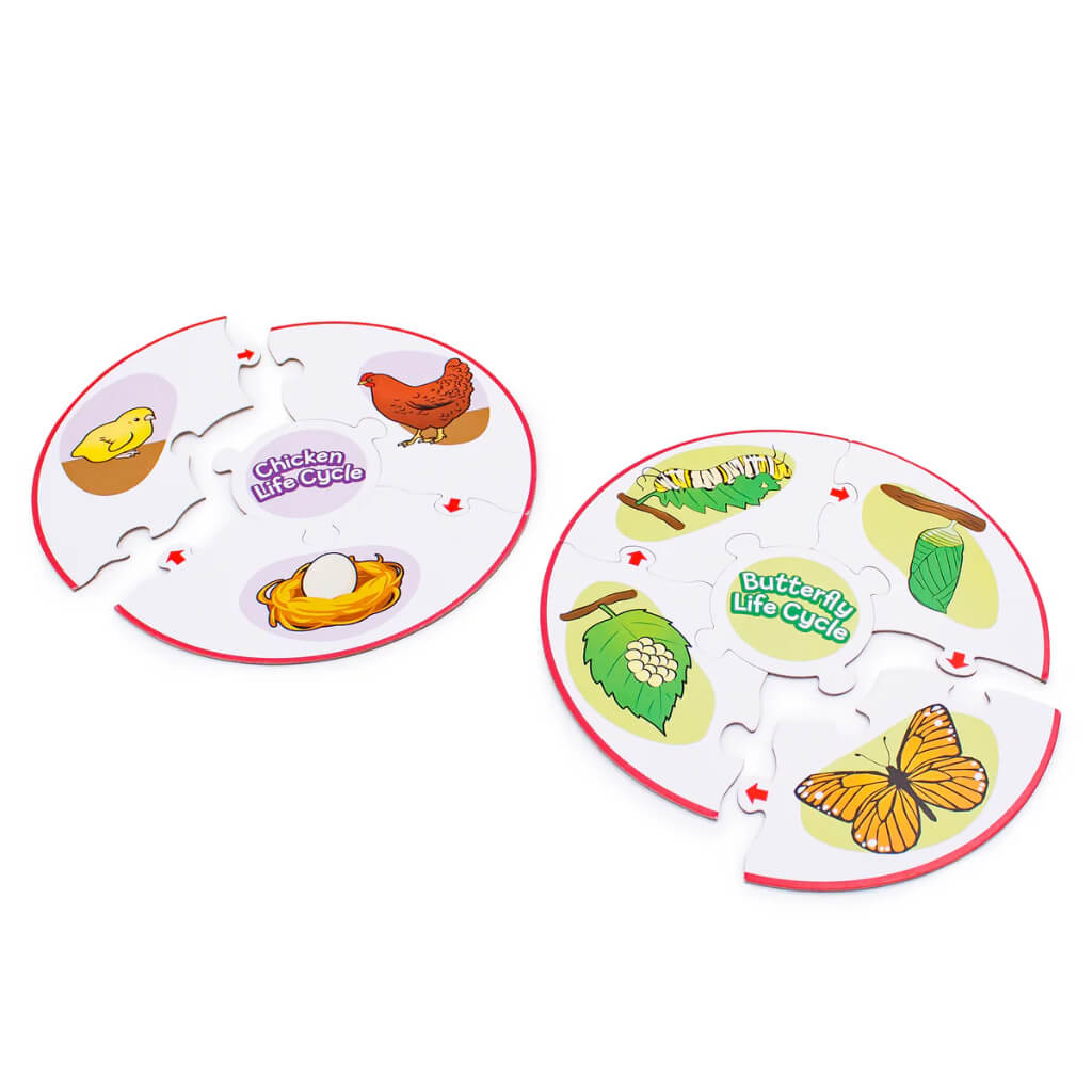 Engaging visuals Life Cycle Puzzles Junior Learning