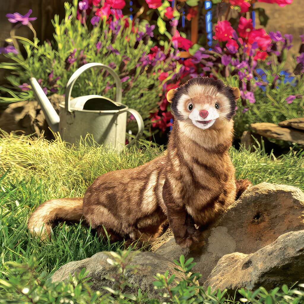 Folkmanis ferret hand puppet on white background