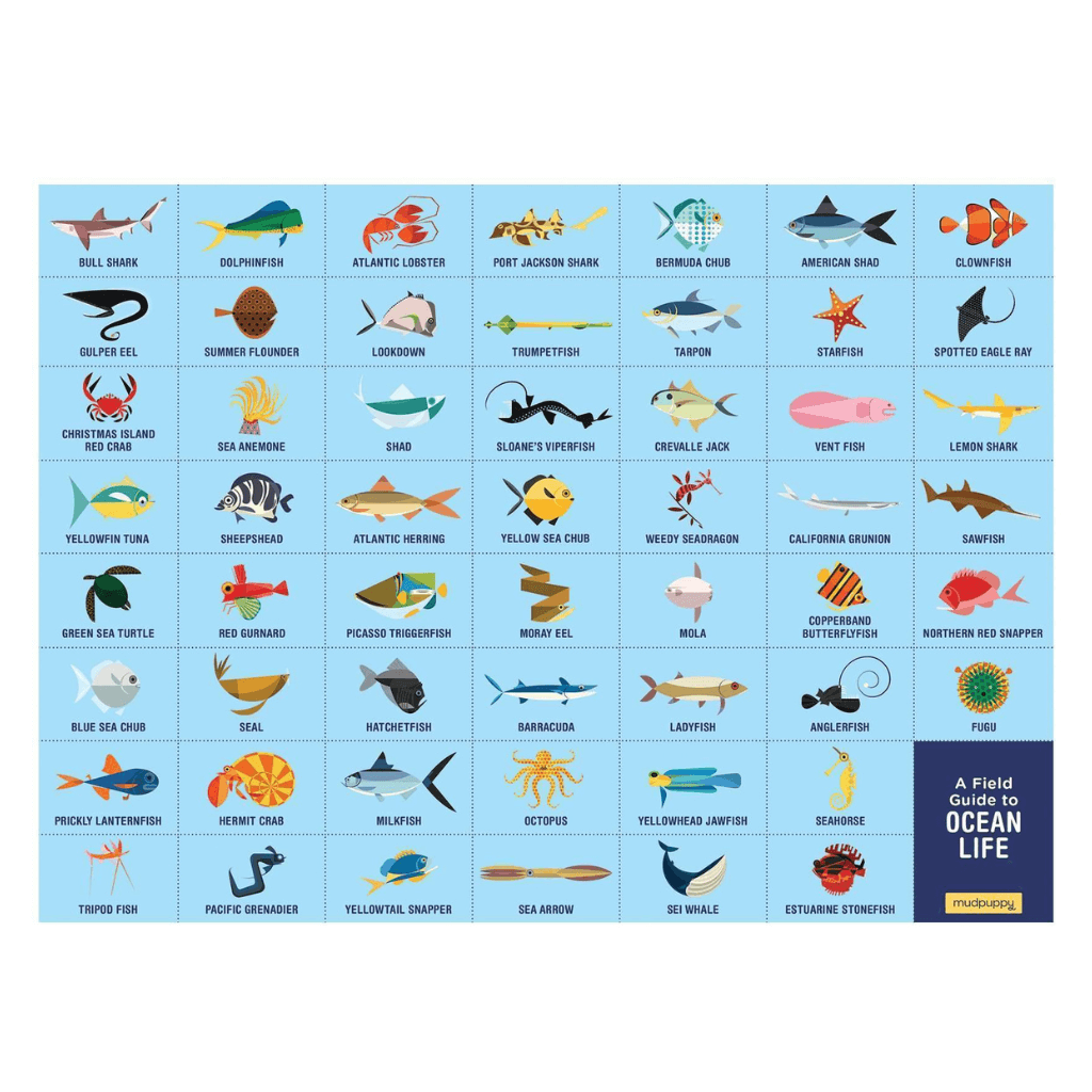Ocean Life Search Find Puzzle 64 Pieces - Mudpuppy