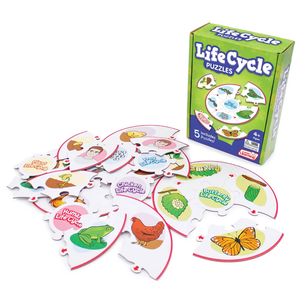 Science fun activities Life Cycle Puzzles Junior Learning