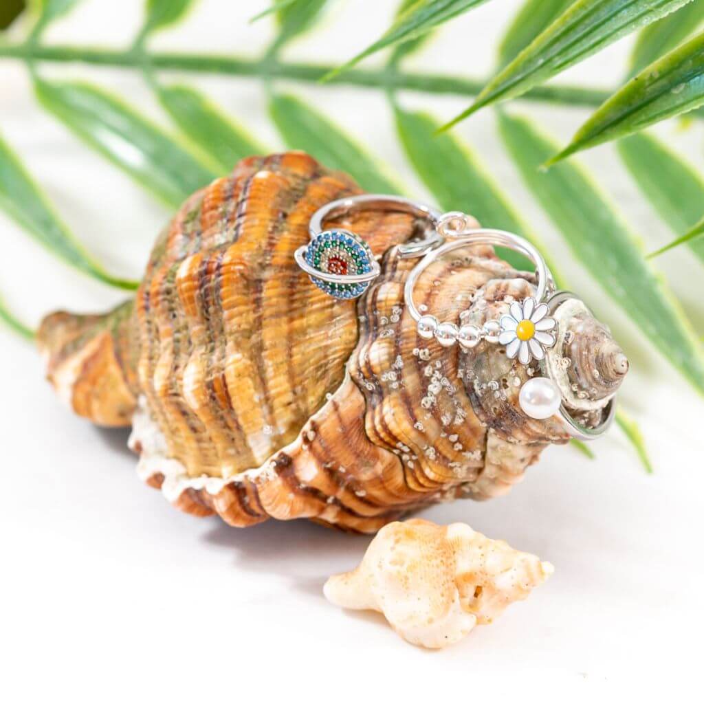 Soothing bundle of 3 women&#39;s spinning rings on a shell with a palm leaf background