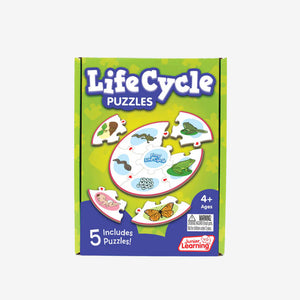 Study Life Cycle Puzzles Junior Learning