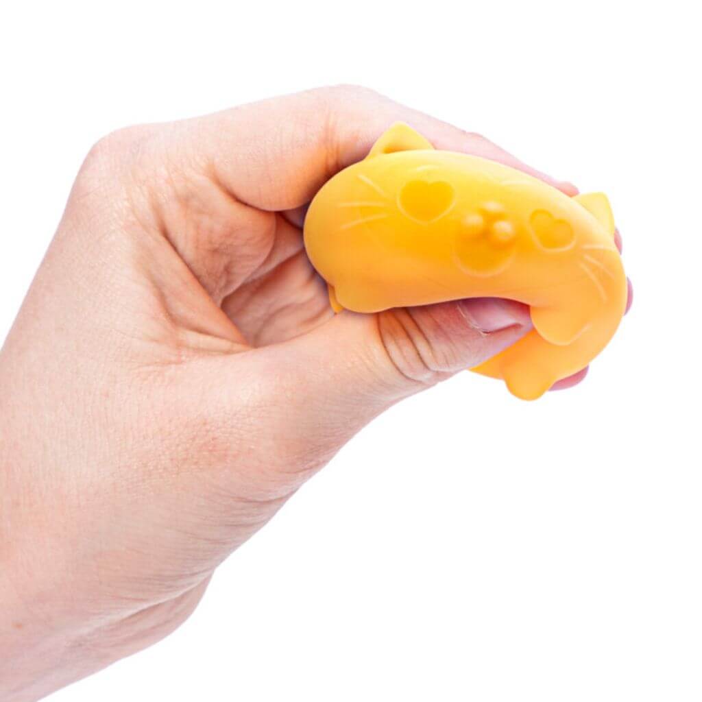 Teenie Nee Doh Cool Cats Schylling