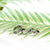 3 stainless steel anxiety rings on a palm leaf