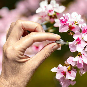 Woman's hand holding a silver fidgeting ring between index and thumb on a blurred cherry blossom background