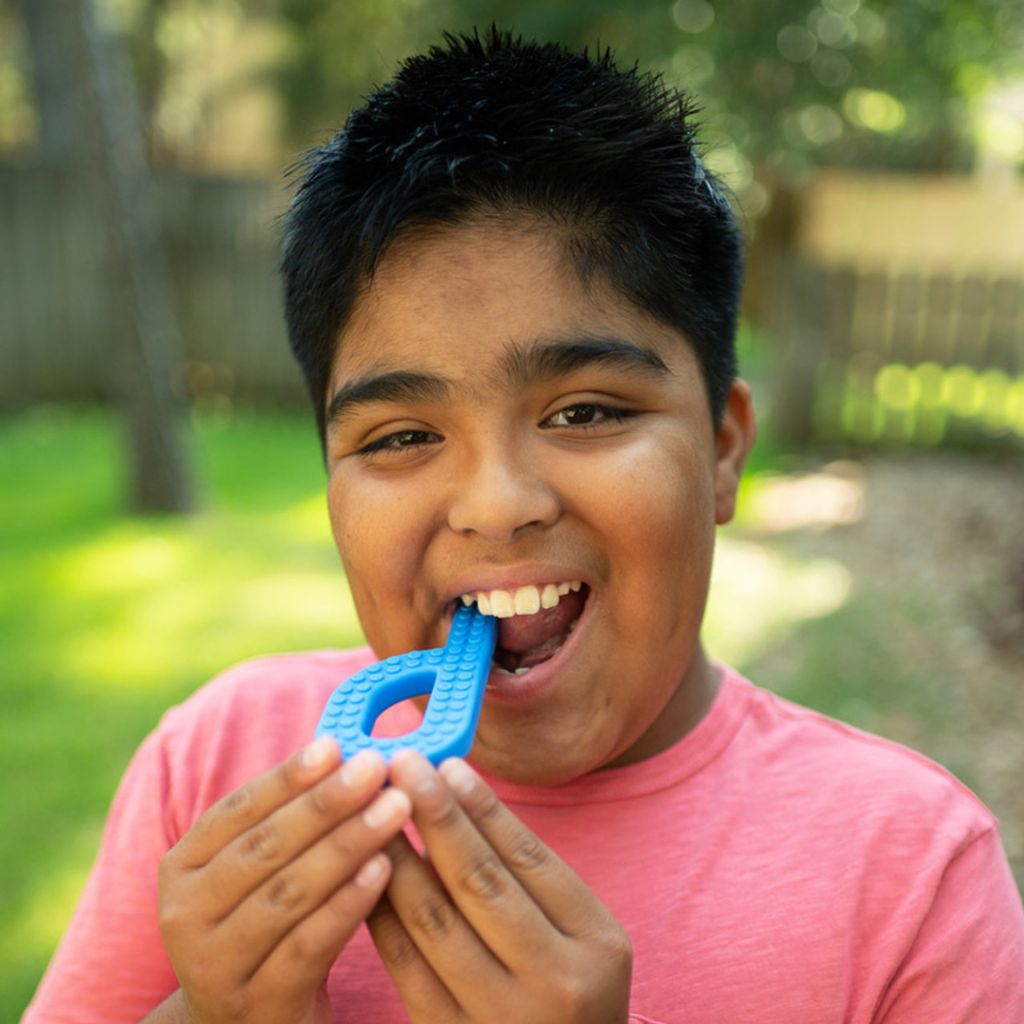 Ark Grabber Brick Chewy P