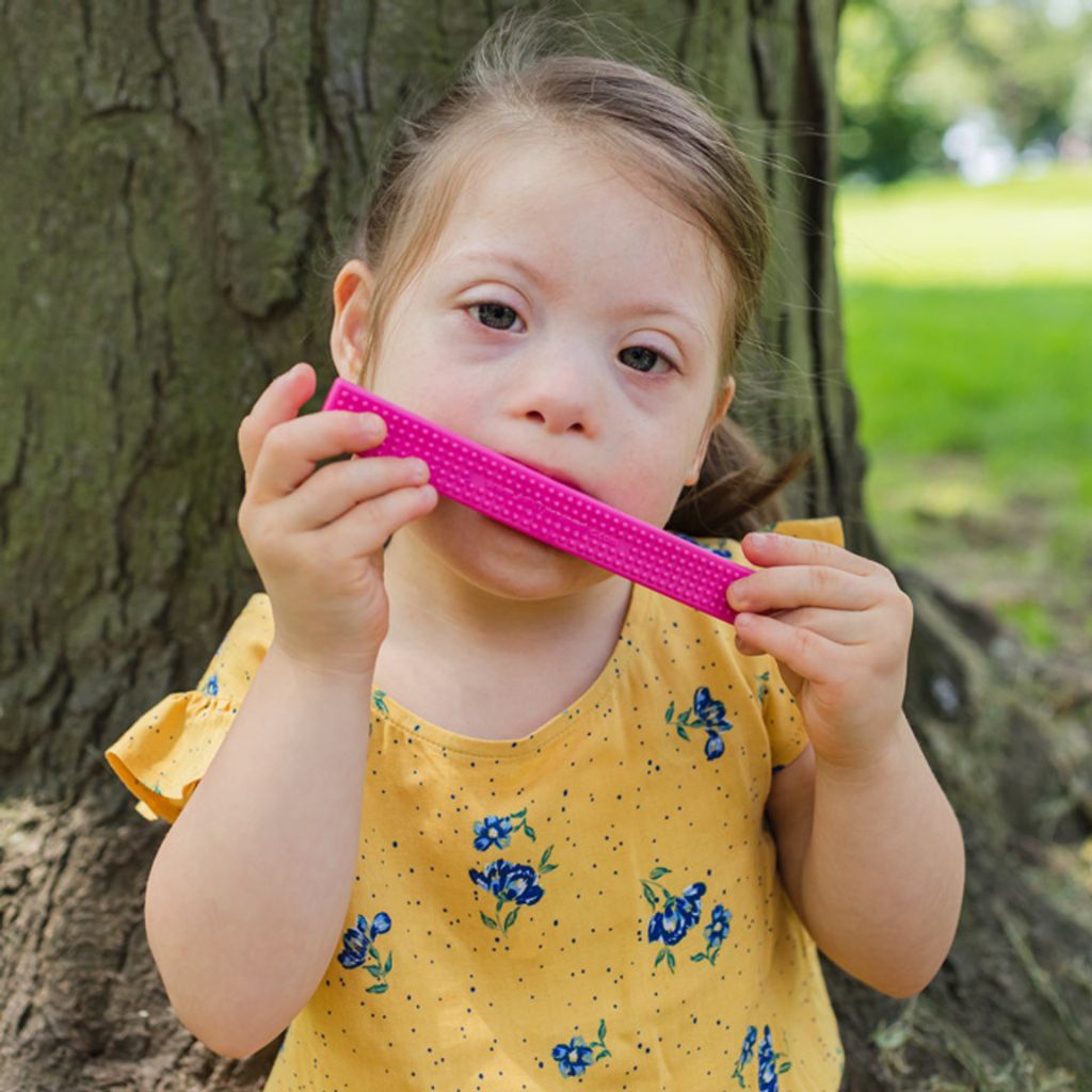 Ark MEGA Brick Stick Chew