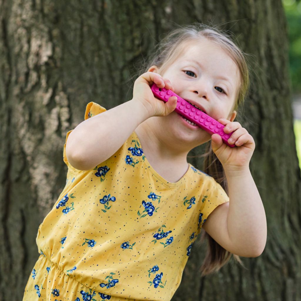 Ark MEGA Brick Stick Chew