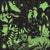 Jungle Illuminated Glow in the Dark Puzzle 500 Pieces Mudpuppy