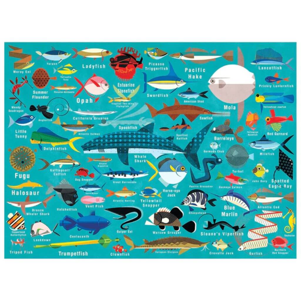 Ocean Life 1000 Pieces Family Puzzle Mudpuppy