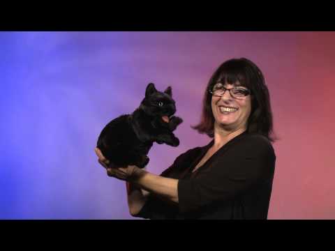 Folkmanis black cat hand puppet demo
