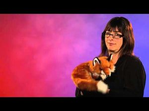 Folkmanis red fox hand puppet  demo video
