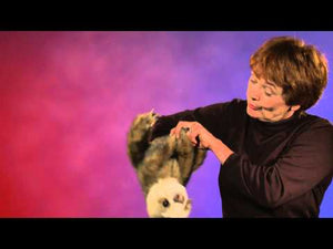 Folkmanis baby sloth hand puppet demo video