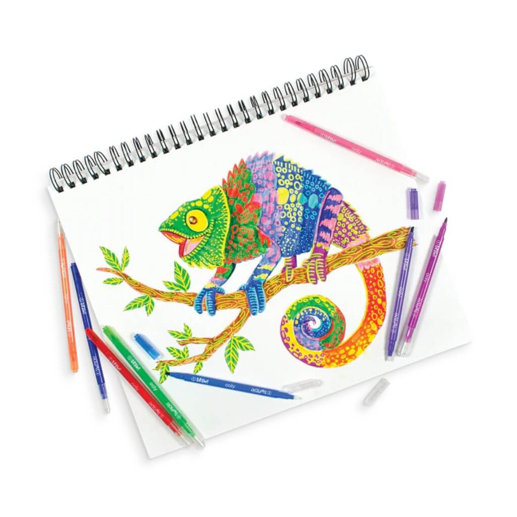 Switch Eroo Colour Changing Markers 12 pack Ooly