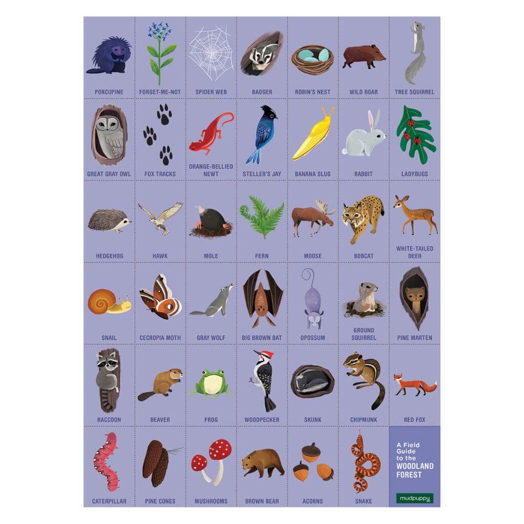 Woodland Forest Search Find Puzzle 64 Pieces Mudpuppy