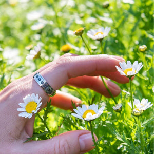 Flowers fidget ring on woman's hand on a daisy background