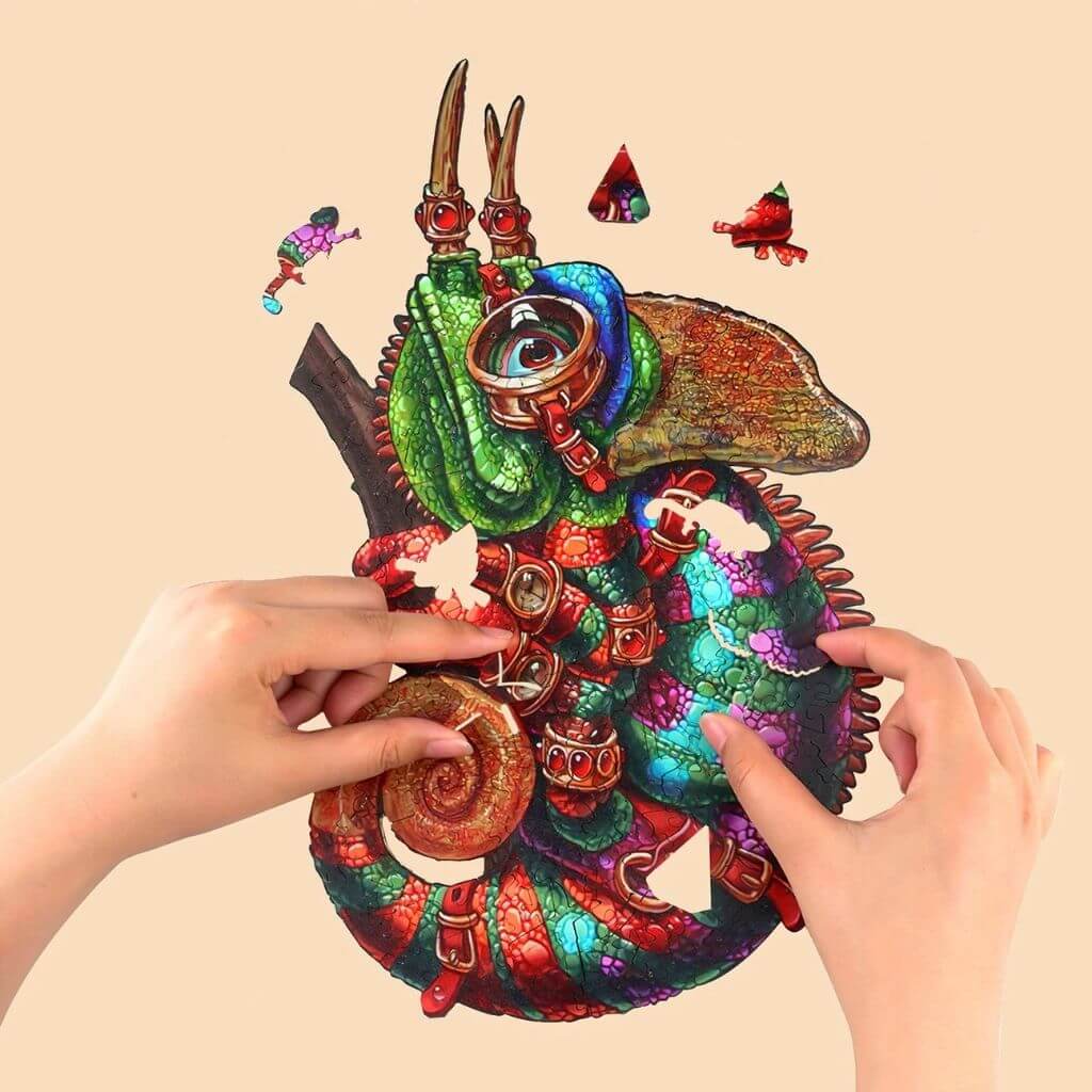 Jigsaw puzzle Australia chameleon