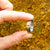 Sun moon and stars silver spiner ring close up on yellow moss background